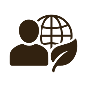 Strona główna Qsuli.